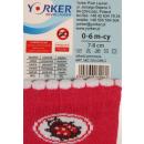 Ponožky Franio klasické - 2 páry (č.17-18)